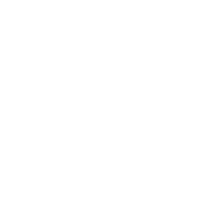 BLAZE brand logo 2 for mobile
